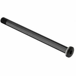 Dt-swiss DT Swiss RWS Stikaksel 100mm/ø12 TA - Alu - HWQASM00S1461S