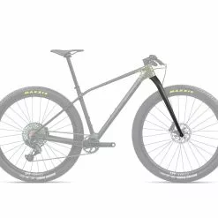 Orbea Spirit Forgaffel 29" Boost 15x110 - Carbon Raw/Titan Gold