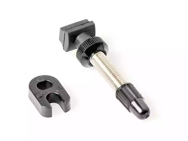 Dt-swiss DT Swiss Tubeless Ventil R6.5 FV53 Mm - 1 Stk - TVXXXXXS29833S