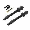 Allbike Tubeless Ventil Barbieri FV 60 Mm - 2 Stk - Sort