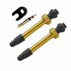 Allbike Barbieri Tubeless Ventil FV 45 Mm - 2 Stk - Gold - AD/PRE45GOL
